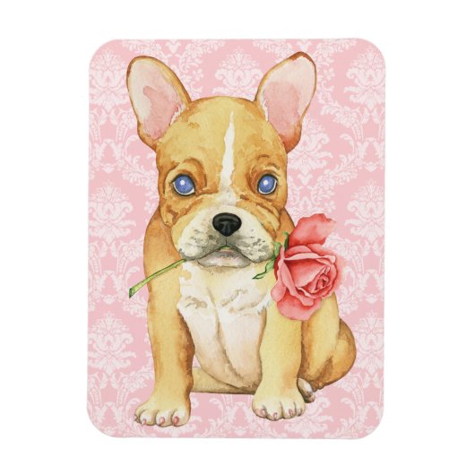 バレンタインばら色のFrenchie マグネット (縦)