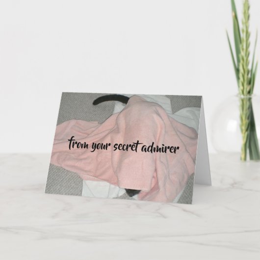 . .バレンタインをひそかに愛好する猫 シーズンカード (正面)