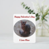 . .バレンタインを愛するタビー猫のミューイング写真 シーズンカード (スタンド正面)
