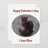 . .バレンタインを愛するタビー猫のミューイング写真 シーズンカード (正面/裏面)