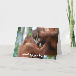 バレンタインキス シーズンカード