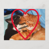 バレンタインキャットラブ シーズンポストカード (正面)