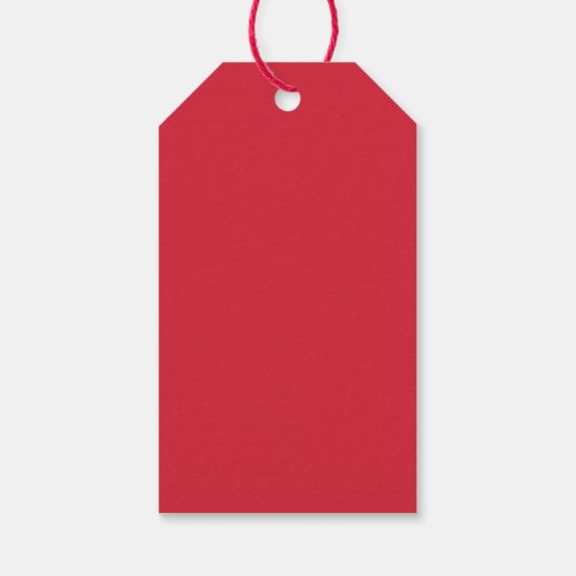 バレンタインデイレッドキスリッププリントの行と行 ギフトタグ (裏面)