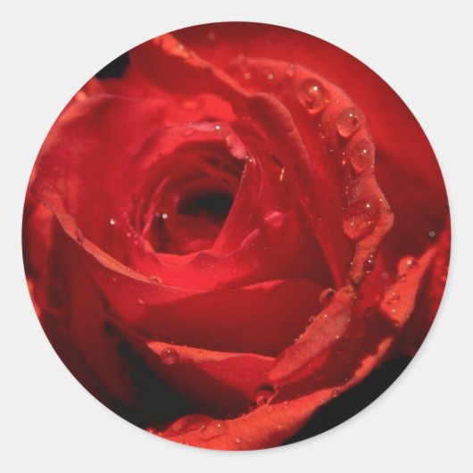 バレンタインデスティッカー ラウンドシール (正面)