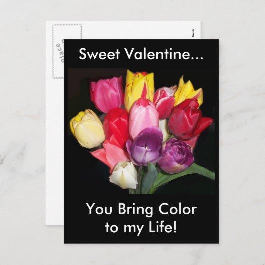 バレンタインデューポストカード シーズンポストカード (正面/裏面)