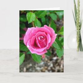 バレンタインデーおめでとう カード