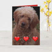 バレンタインデーおめでとう - 世界で最もかわいい犬 カード (黄色い花)