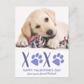 バレンタインデーかわいい犬ペット写真ホリデーカード シーズンポストカード (正面)