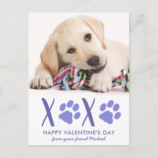 バレンタインデーかわいい犬ペット写真ホリデーカード シーズンポストカード (正面)