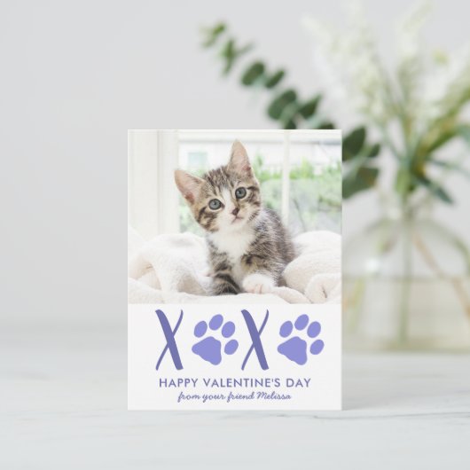 バレンタインデーかわいい猫ペット写真ホリデーカード シーズンポストカード (スタンド正面)