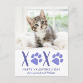 バレンタインデーかわいい猫ペット写真ホリデーカード シーズンポストカード (正面)