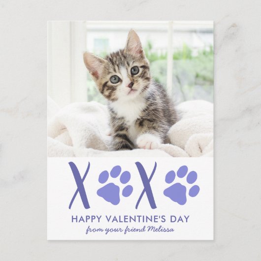 バレンタインデーかわいい猫ペット写真ホリデーカード シーズンポストカード (正面)