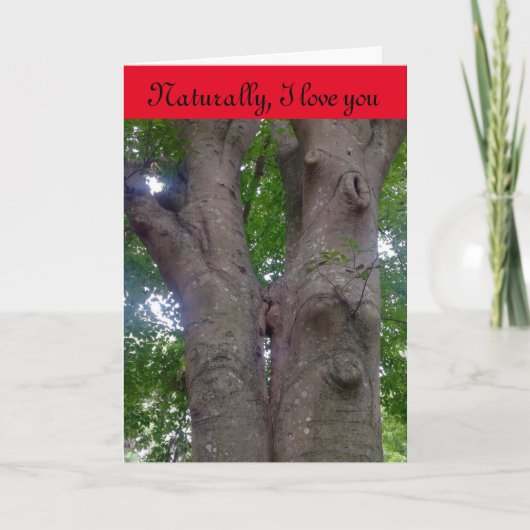 バレンタインデーのカードは自然好き！ シーズンカード (正面)