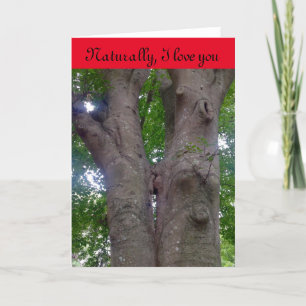 バレンタインデーのカードは自然好き！ シーズンカード