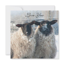 バレンタインデーのカード