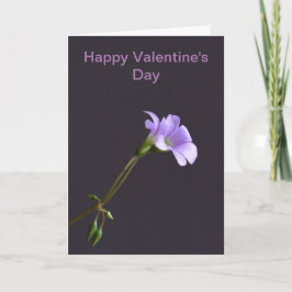 バレンタインデーのカード カード