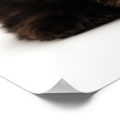 バレンタインデーのチョコレートは子犬 ポスター (角)