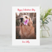 バレンタインデーの写真の犬 シーズンカード (スタンド正面)