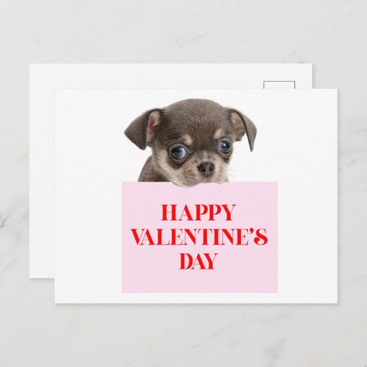バレンタインデーの子犬カード ポストカード (正面/裏面)