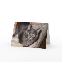 バレンタインデーの愛の情景グリーティングカード