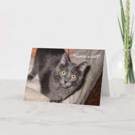 バレンタインデーの愛の情景グリーティングカード シーズンカード