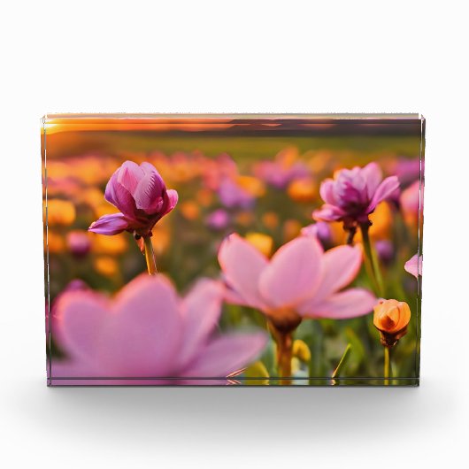 バレンタインデーの春の花 フォトブロック (正面)