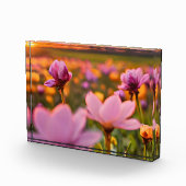 バレンタインデーの春の花 フォトブロック (右)
