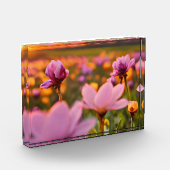 バレンタインデーの春の花 フォトブロック (左)