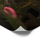 バレンタインデーの春の花 ポスター (角)