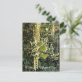 バレンタインデーの花が咲く! ポストカード (スタンド正面)