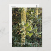 バレンタインデーの花が咲く! ポストカード (正面/裏面)