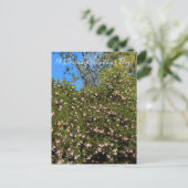 バレンタインデーの花が咲く！ポストカード ポストカード (スタンド正面)