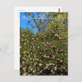 バレンタインデーの花が咲く！ポストカード ポストカード (正面/裏面)