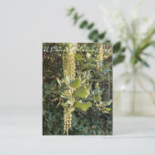 バレンタインデーの花が咲く!ポストカード ポストカード (スタンド正面)