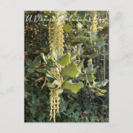 バレンタインデーの花が咲く！ポストカード ポストカード