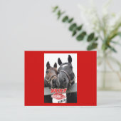 バレンタインデーの馬 シーズンポストカード (スタンド正面)