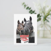 バレンタインデーの馬 シーズンポストカード (スタンド正面)