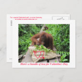 バレンタインデーへの愛の束 シーズンポストカード (正面/裏面)