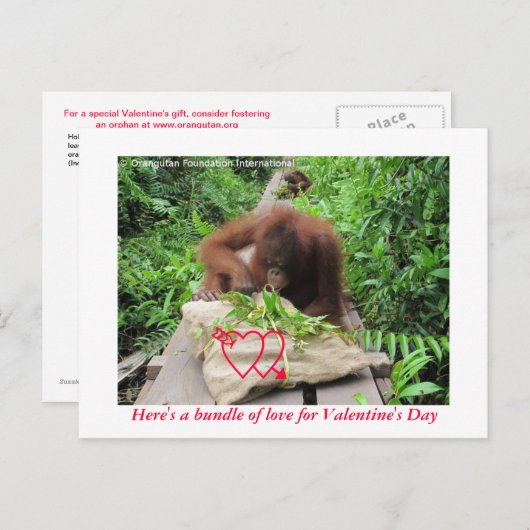 バレンタインデーへの愛の束 シーズンポストカード (正面/裏面)