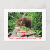 バレンタインデーへの愛の束 シーズンポストカード (正面)