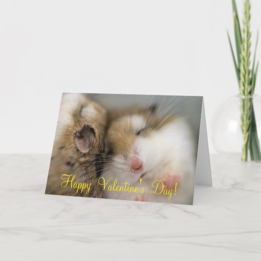 バレンタインデーをボブに移す シーズンカード (正面)