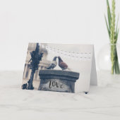 バレンタインデーを愛するシティーハト シーズンカード (正面)