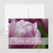 バレンタインデーカード| Valentinskarte Tulpen シーズンポストカード (正面/裏面)