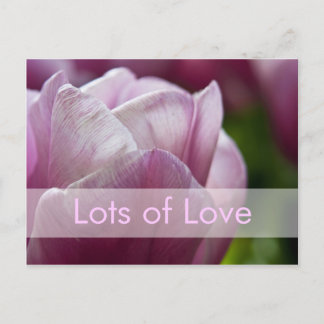 バレンタインデーカード| Valentinskarte Tulpen シーズンポストカード
