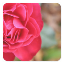 バレンタインデーバラ付きギフト