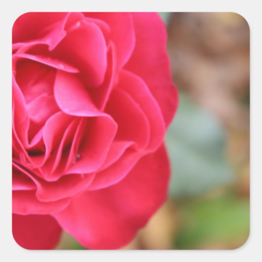 バレンタインデーバラ付きギフト スクエアシール (正面)