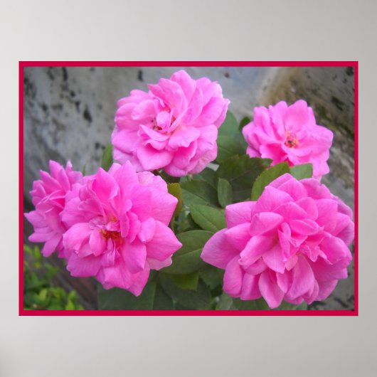 バレンタインデーバラ – ポスター (正面)