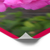 バレンタインデーバラ – ポスター (角)