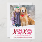 バレンタインデーモダンXOXO子犬ペット写真 シーズンカード (正面)