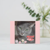 バレンタインデーロシアのブルーグレー猫 シーズンポストカード (スタンド正面)